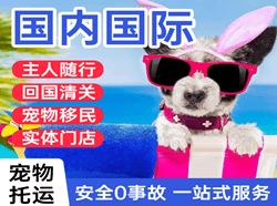 乌拉特中旗海流图机场空运国际宠物托运 【国